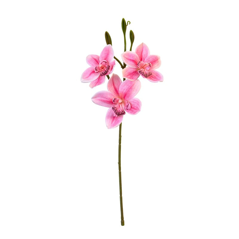 Lifelike Cymbidium Orchid Stem, 22" Tall Faux Flower, Realistic Long Stem for Tall Vases, Wedding Bouquets, DIY Floral Arrangements, Home Decor