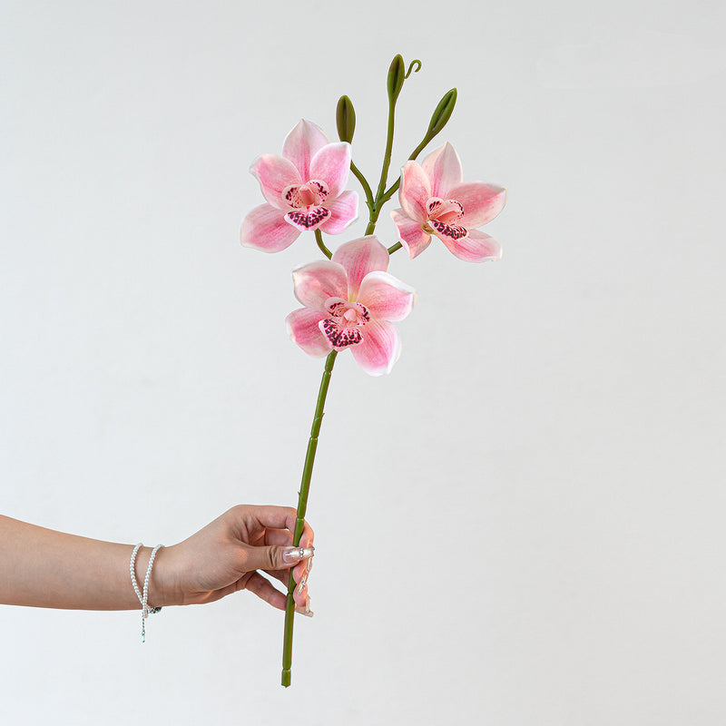 Lifelike Cymbidium Orchid Stem, 22" Tall Faux Flower, Realistic Long Stem for Tall Vases, Wedding Bouquets, DIY Floral Arrangements, Home Decor