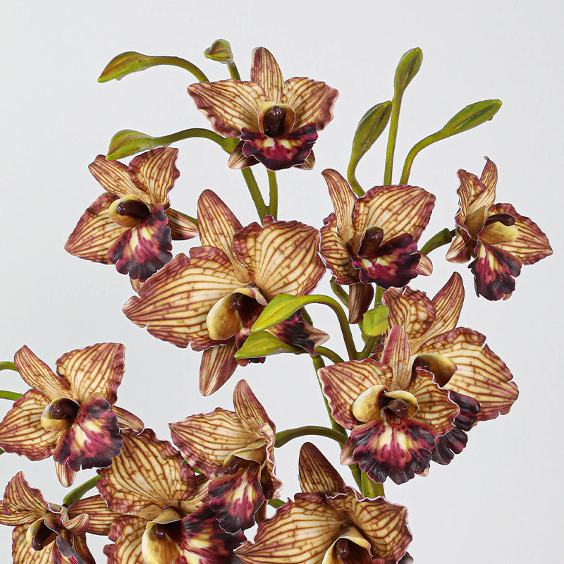 Lifelike Cattleya Orchid Stem, 20-Inch Tall with 3 Blooms, Premium Faux Orchid for Vase Arrangements, Elegant Home Decor, DIY Wedding Florals
