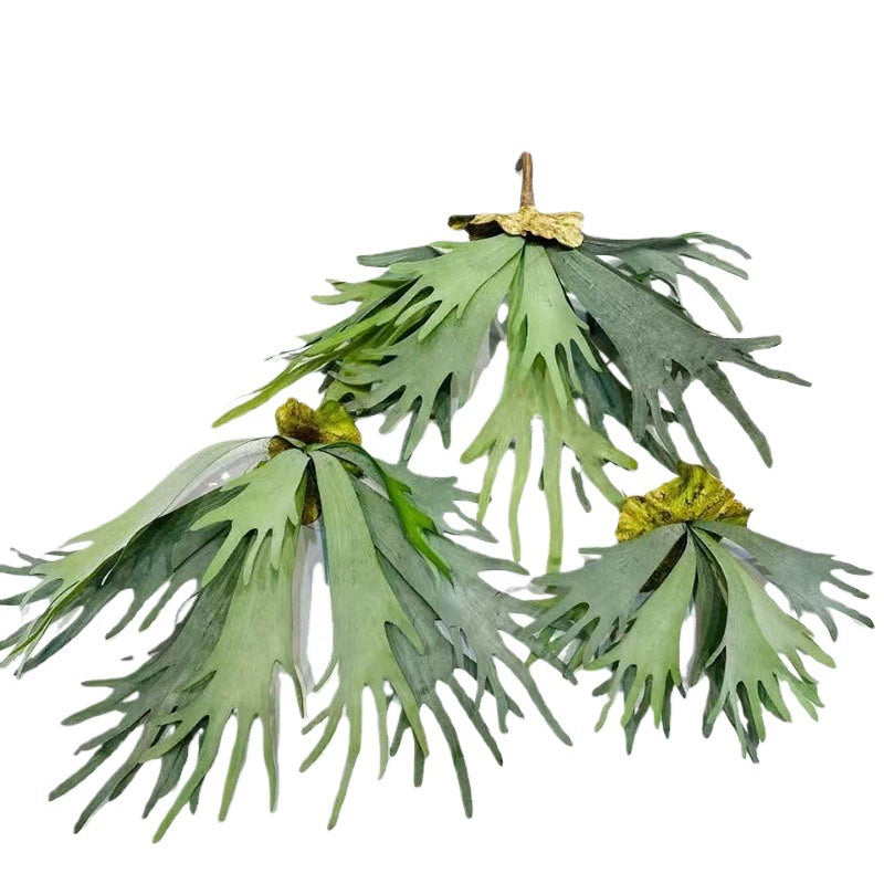 Realistic Faux Air Plant, 20" Succulent with Hanging Design, Perfect for Home Decor, Weddings, and Seasonal Events