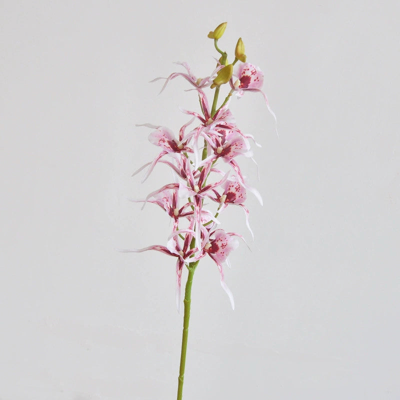 Real-Touch Spider Lily Artificial Flowers, 34" Tall Bendable Stems, Lifelike Latex Faux Floral Arrangement for Vases, Wedding Centerpieces, Home Decor (White, Pink, Fuchsia)