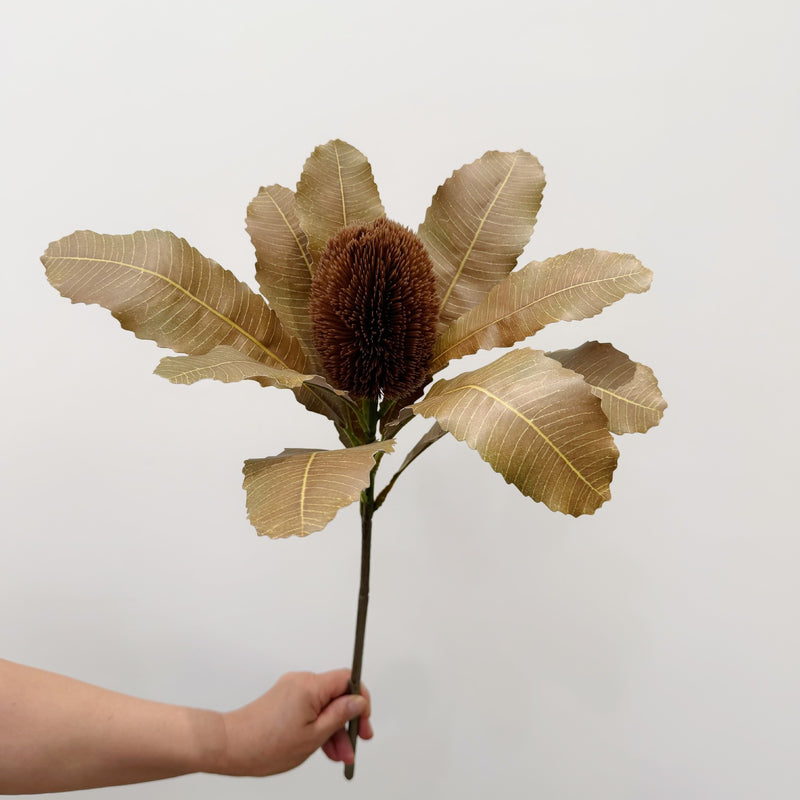 Artificial King Protea Flower Stem, 22" Real-Touch Plastic Faux Blooms for Vase Arrangements, Wedding Centerpieces, Home & Office Decor