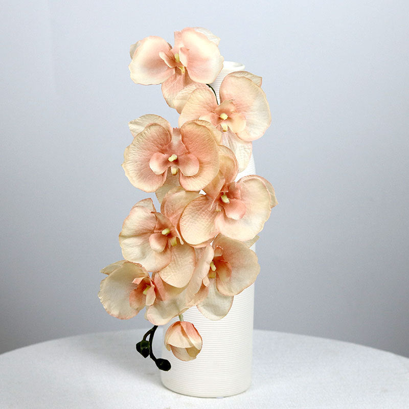 Realistic Phalaenopsis Orchid Stem, 27" Silk Artificial Flower for Vases, Wedding Centerpieces, Home Decor & Commercial Displays – 8 Blooms per Stem (Autumn Hues)