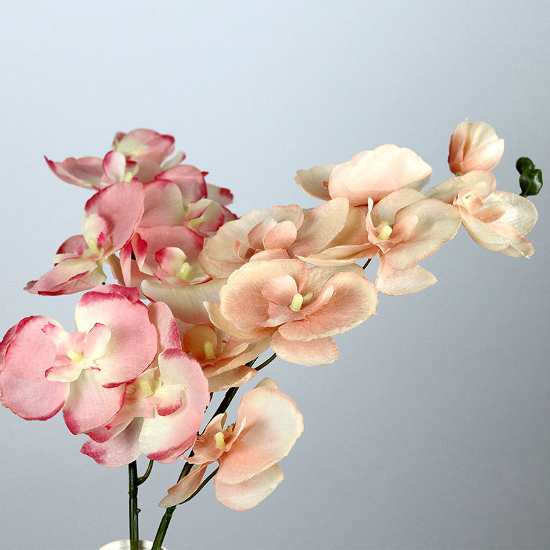 Realistic Phalaenopsis Orchid Stem, 27" Silk Artificial Flower for Vases, Wedding Centerpieces, Home Decor & Commercial Displays – 8 Blooms per Stem (Autumn Hues)