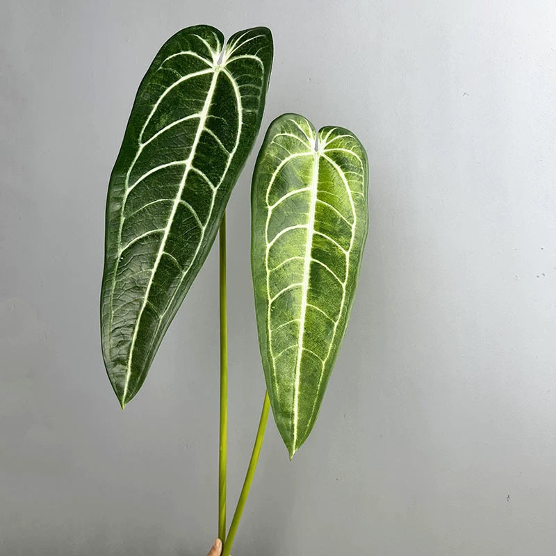 2-Pack Real-Touch Anthurium Faux Greenery Stems, 35" Tall, Green & Light Green, Vase Fillers, Home Decor, Wedding Arrangements, Office & Event Styling