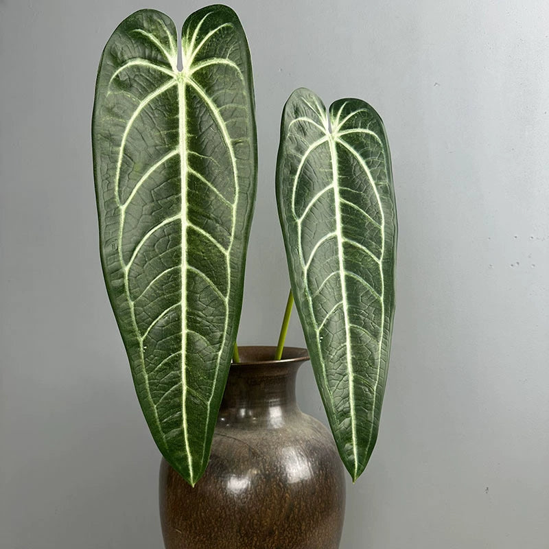 2-Pack Real-Touch Anthurium Faux Greenery Stems, 35" Tall, Green & Light Green, Vase Fillers, Home Decor, Wedding Arrangements, Office & Event Styling