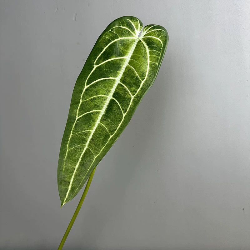2-Pack Real-Touch Anthurium Faux Greenery Stems, 35" Tall, Green & Light Green, Vase Fillers, Home Decor, Wedding Arrangements, Office & Event Styling