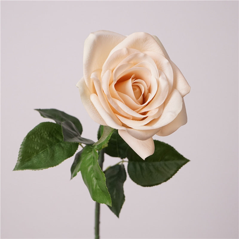 Real-Touch Faux Carolina Rose, 26" Stem, 4" Bloom, Perfect for Vase Arrangements, Wedding Bouquets, and Home Decor