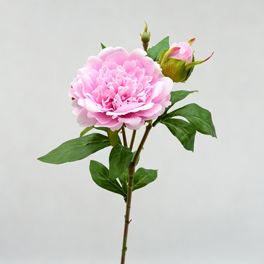 Artificial Peony Stem, Single Stem with 2 Blooms, 26" Height, Realistic Peony Flower for Home Decor, Wedding Arrangements, Table Centerpieces