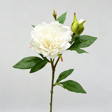 Artificial Peony Stem, Single Stem with 2 Blooms, 26" Height, Realistic Peony Flower for Home Decor, Wedding Arrangements, Table Centerpieces