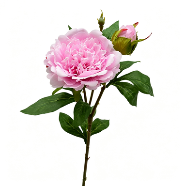 Artificial Peony Stem, Single Stem with 2 Blooms, 26" Height, Realistic Peony Flower for Home Decor, Wedding Arrangements, Table Centerpieces