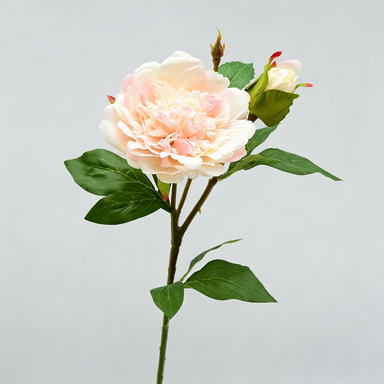 Artificial Peony Stem, Single Stem with 2 Blooms, 26" Height, Realistic Peony Flower for Home Decor, Wedding Arrangements, Table Centerpieces