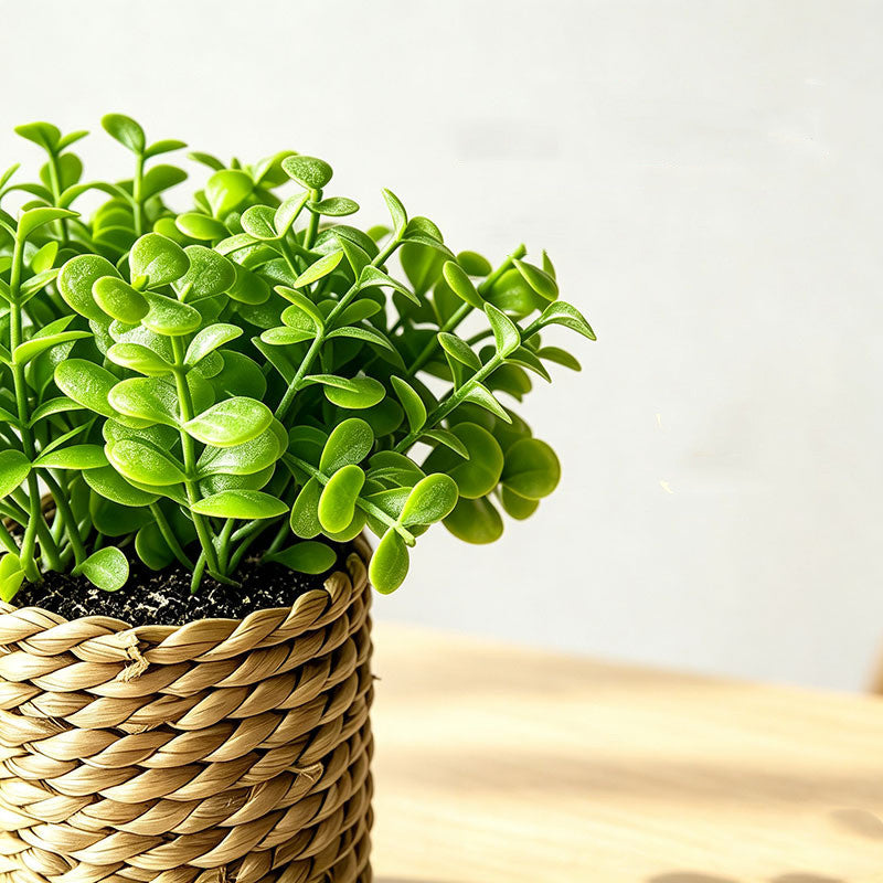 Artificial Potted Plant, 6" Tall, Mixed Material, Perfect for Home, Office, and Commercial Decor