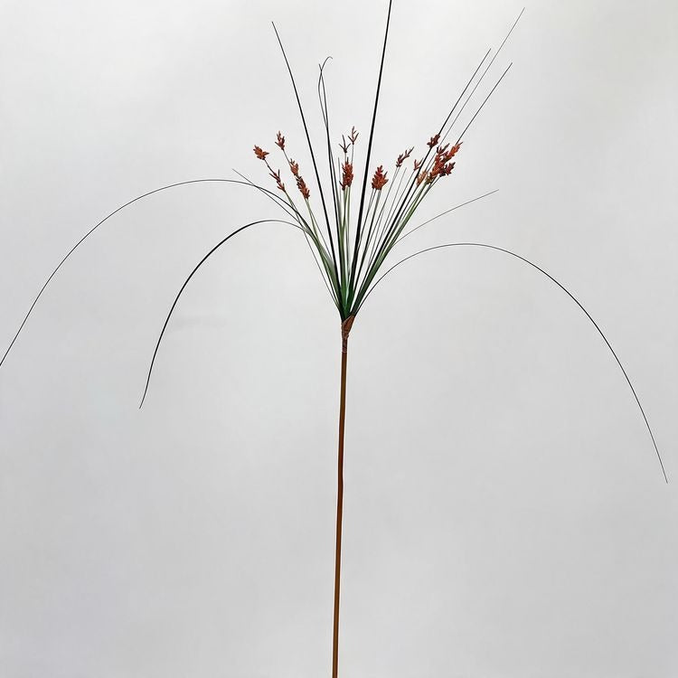 Artificial Umbrella Grass Fountain Grass Stems, Set of 2, 53" Tall, Modern Home Decor, Office, Hotel, or Commercial Space Decoration, Indoor Use