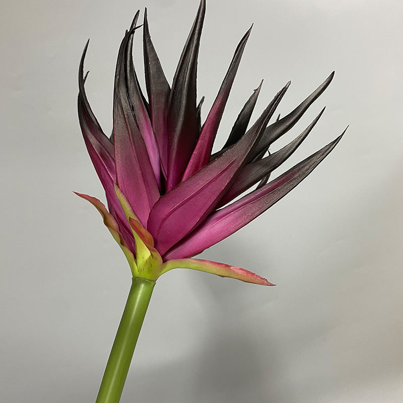 Artificial Phoenix Flower Stem, Real-Touch Latex, 33" Height, 5.5" Bloom, Black Purple, Orange Red, Burgundy, Home Decor, Office, Wedding Arrangements