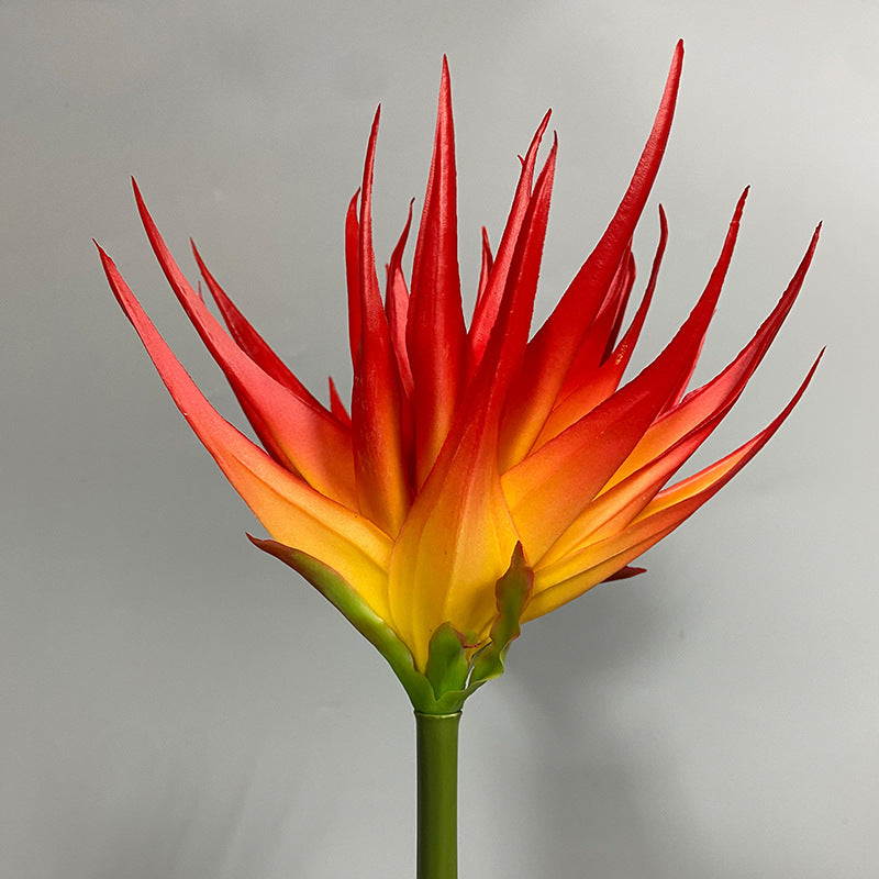Artificial Phoenix Flower Stem, Real-Touch Latex, 33" Height, 5.5" Bloom, Black Purple, Orange Red, Burgundy, Home Decor, Office, Wedding Arrangements