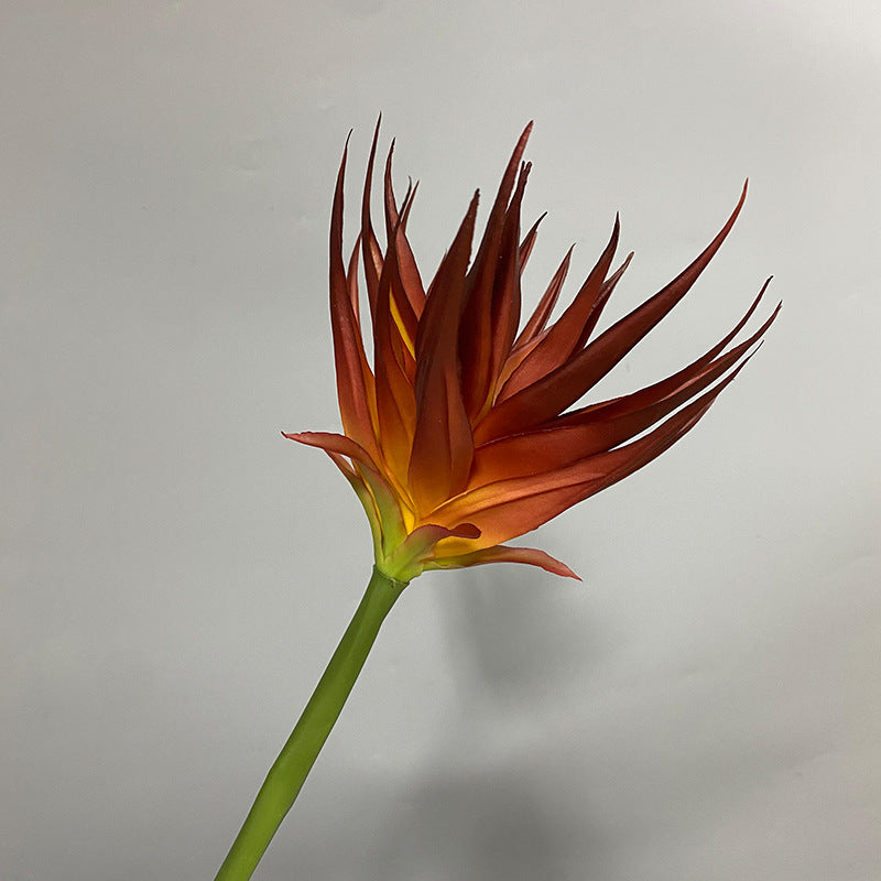 Artificial Phoenix Flower Stem, Real-Touch Latex, 33" Height, 5.5" Bloom, Black Purple, Orange Red, Burgundy, Home Decor, Office, Wedding Arrangements