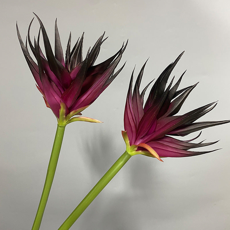 Artificial Phoenix Flower Stem, Real-Touch Latex, 33" Height, 5.5" Bloom, Black Purple, Orange Red, Burgundy, Home Decor, Office, Wedding Arrangements