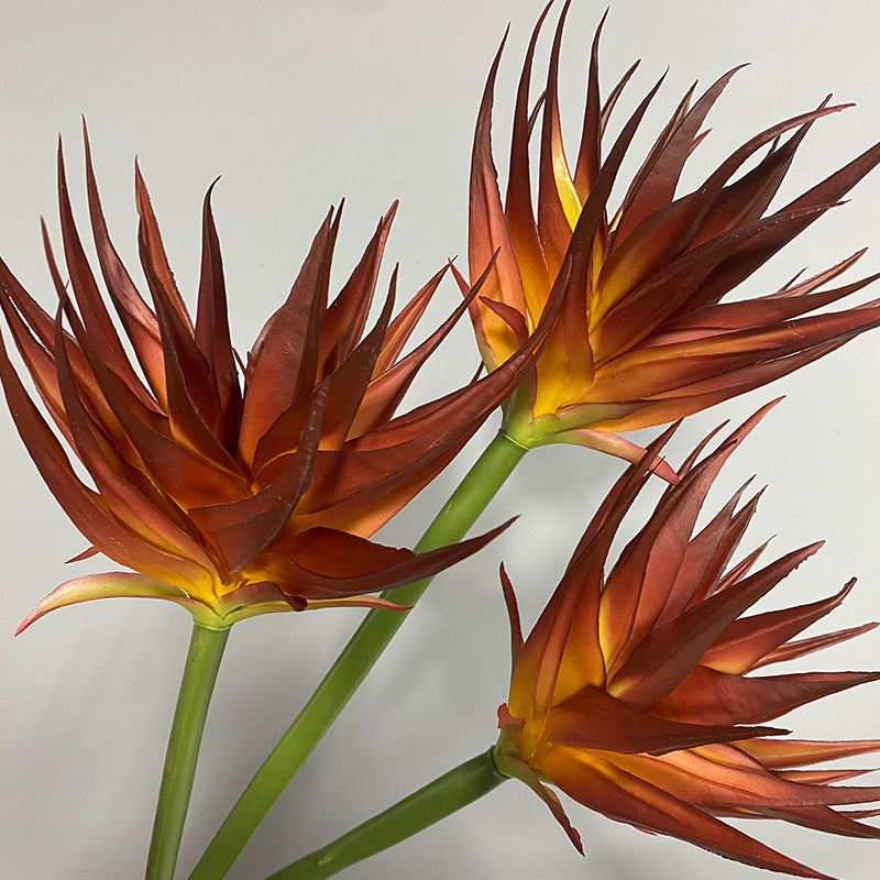 Artificial Phoenix Flower Stem, Real-Touch Latex, 33" Height, 5.5" Bloom, Black Purple, Orange Red, Burgundy, Home Decor, Office, Wedding Arrangements