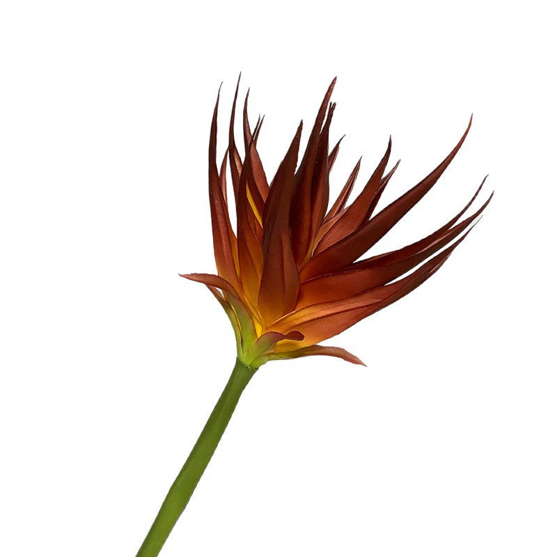 Artificial Phoenix Flower Stem, Real-Touch Latex, 33" Height, 5.5" Bloom, Black Purple, Orange Red, Burgundy, Home Decor, Office, Wedding Arrangements