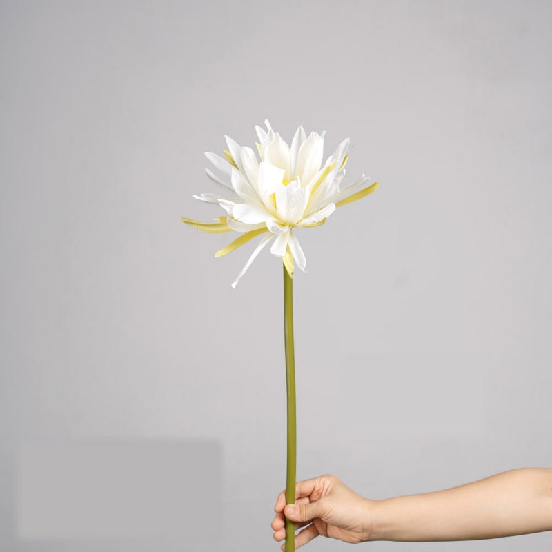 Single Stem Faux Silk Epiphyllum Flower, 24" Tall, 9" Bloom Diameter, Wedding Aisle Decor, Home Decor