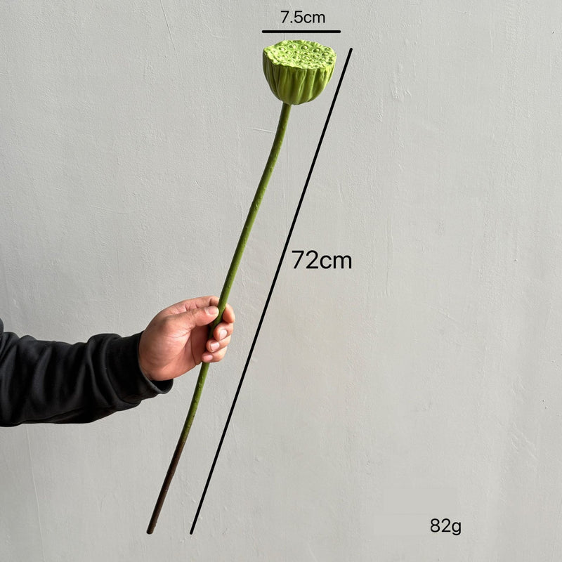 Artificial Lotus Flower Stem, Single Realistic Silk Lotus with Bendable Stem 31.5", Home Decor, Wedding Centerpiece, Commercial Displays
