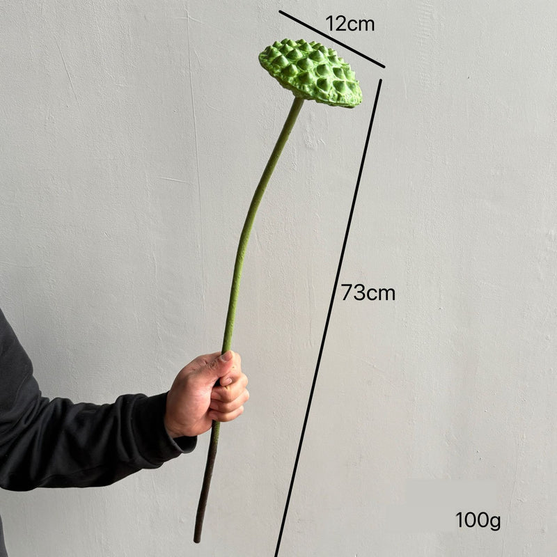 Artificial Lotus Flower Stem, Single Realistic Silk Lotus with Bendable Stem 31.5", Home Decor, Wedding Centerpiece, Commercial Displays