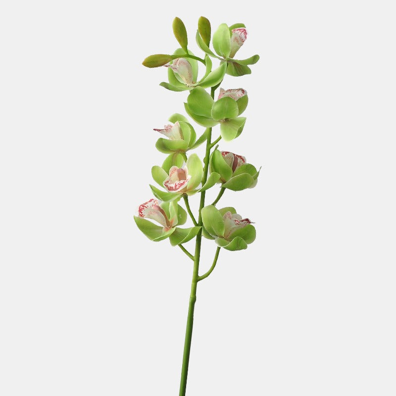 Artificial Phalaenopsis Orchid Stem, Single Stem with 8 Blooms, 27" Long, Realistic PE Flowers for Home Office Wedding Decor