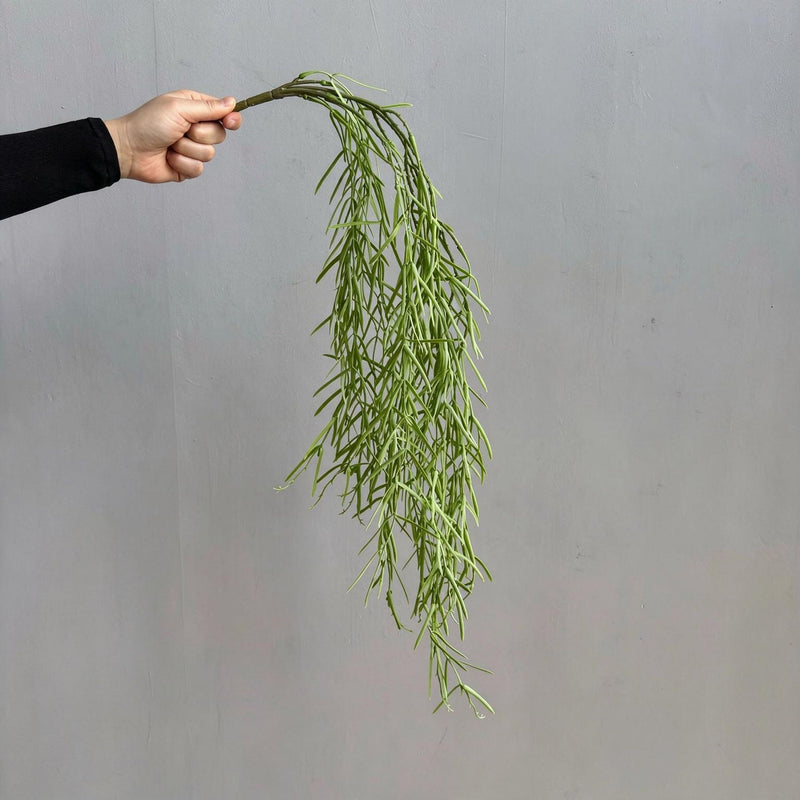 Artificial Asparagus Fern Hanging Vine, 36" Trailing Fake Green Plant for Indoor Decor, Rustic Wedding & Home Styling