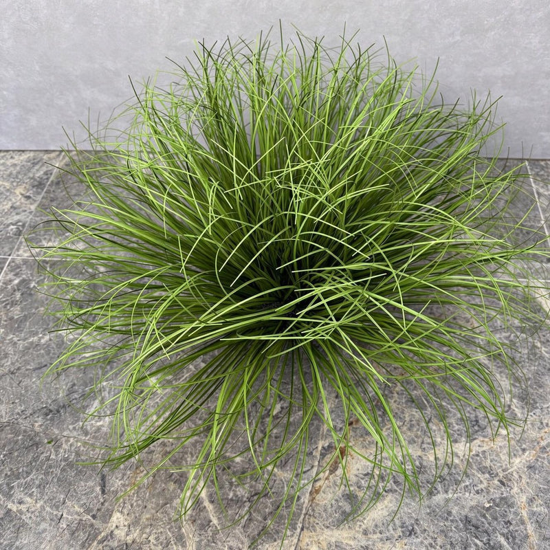 Artificial Bulrush Grass Bush, 12" Tall Faux Cattail Stems, Set of 2 Picks for Home Decor, Wedding Centerpieces and Commercial Displays