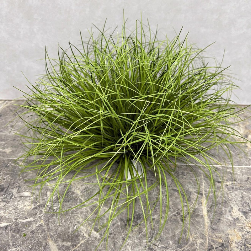 Artificial Bulrush Grass Bush, 12" Tall Faux Cattail Stems, Set of 2 Picks for Home Decor, Wedding Centerpieces and Commercial Displays