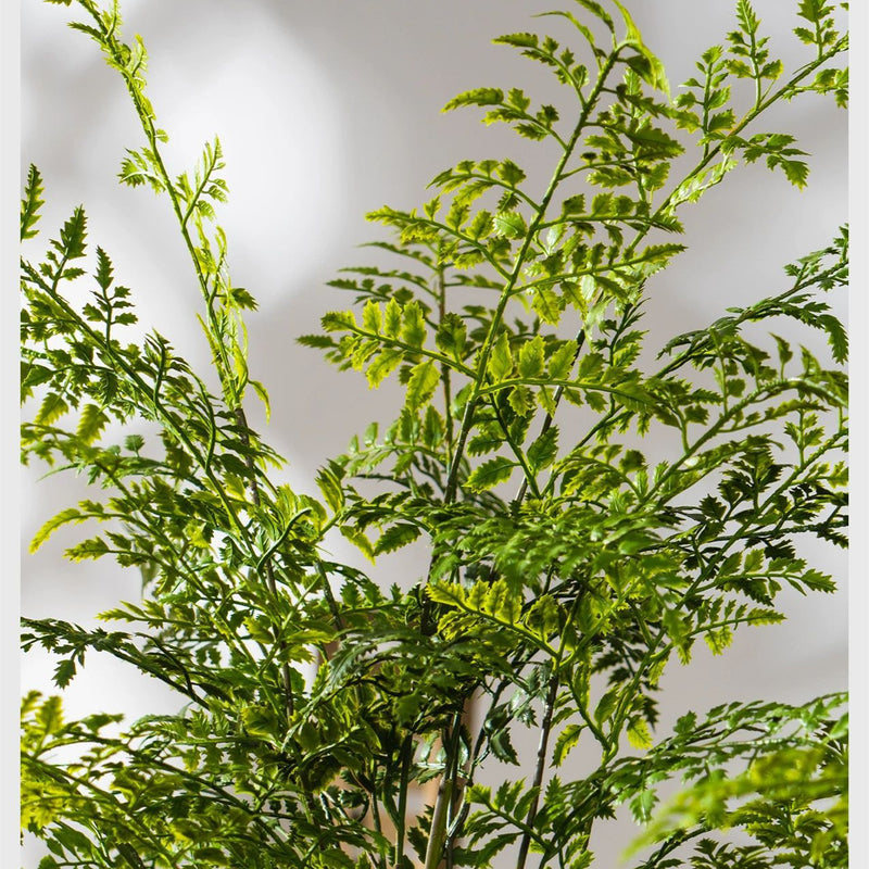 Artificial Fern Potted Plant with Terracotta Pot, 31" Tall, Realistic Faux Greenery for Home Office Decor
