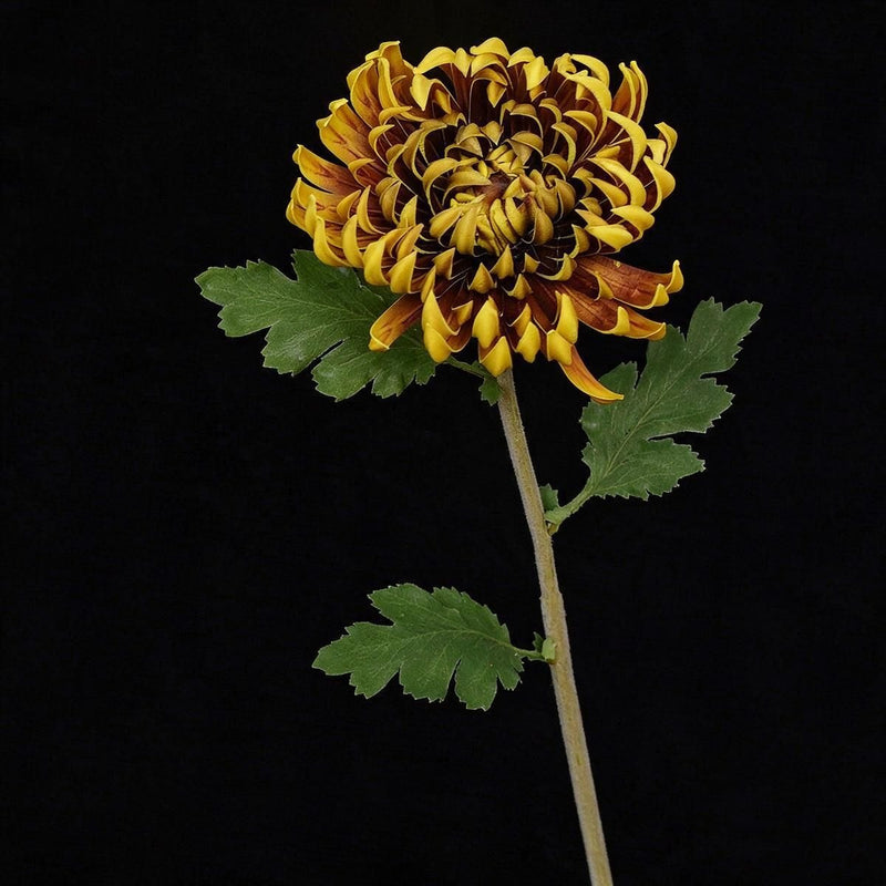 Artificial Chrysanthemum Single Stem, Fall-Colored Silk-Like Flower, 23" Height with 4.5" Bloom, for Home Decor, Weddings & Seasonal Displays