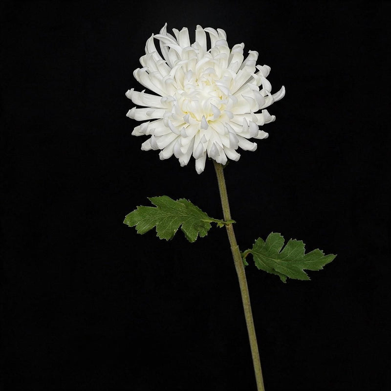 Artificial Chrysanthemum Single Stem, Fall-Colored Silk-Like Flower, 23" Height with 4.5" Bloom, for Home Decor, Weddings & Seasonal Displays
