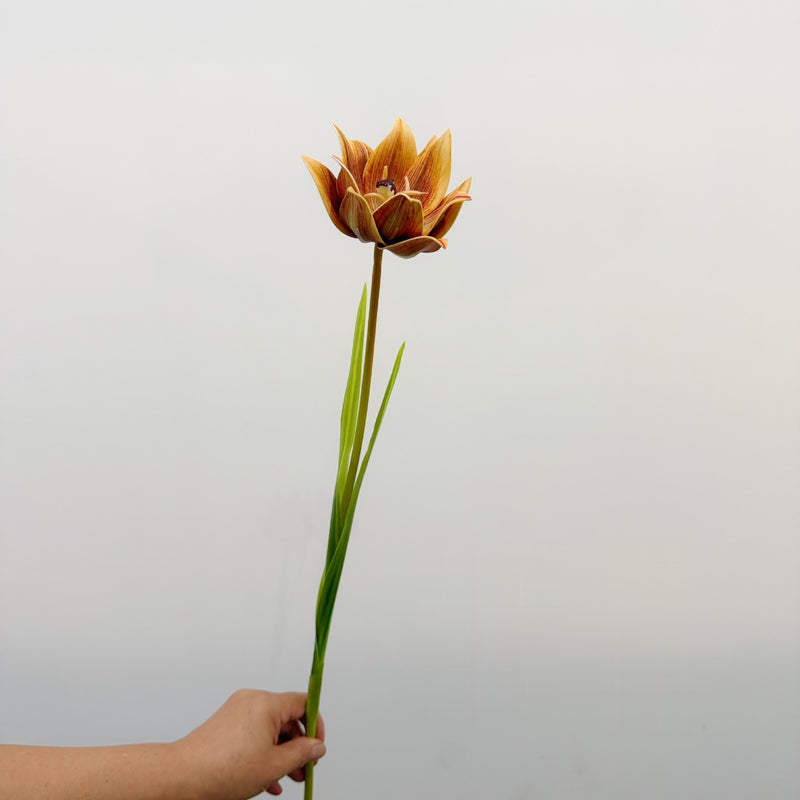 27" Artificial Tulip Stem, Single Bloom Faux Flower for Home Decor, Weddings & Events, Allergy-Free & Zero Maintenance
