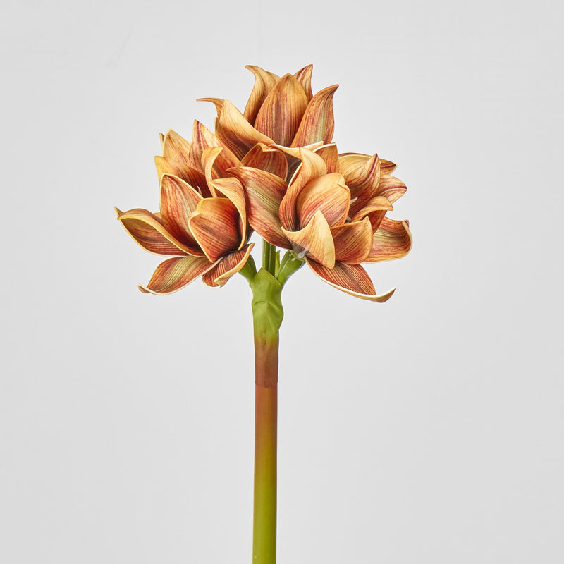 Artificial Clivia Amaryllis Bush with 3 Blooms, 22" Tall Realistic Faux Flowers for Wedding Centerpieces, Home Decor & Commercial Displays