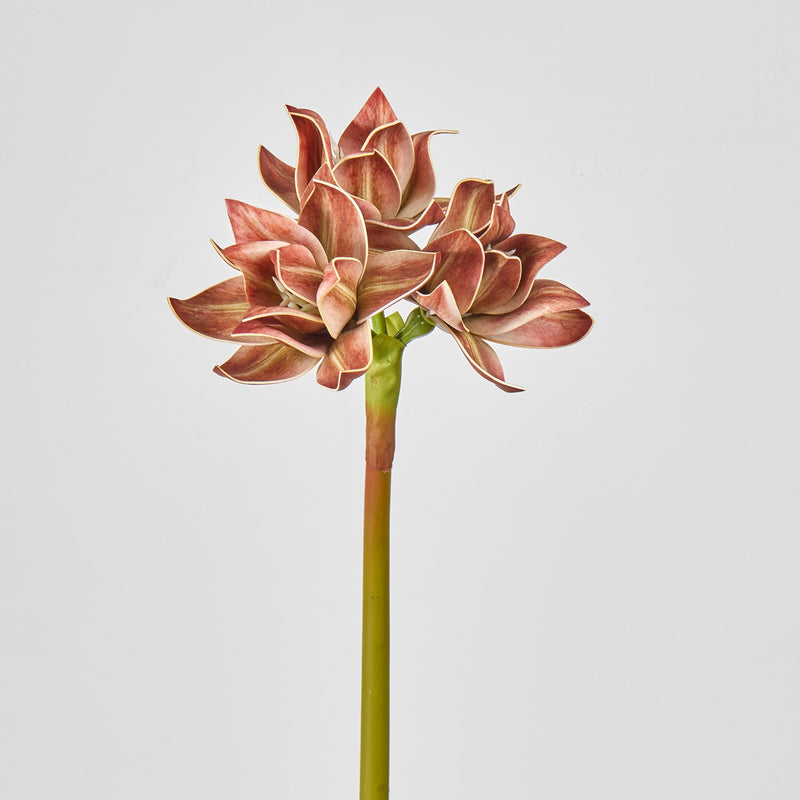 Artificial Clivia Amaryllis Bush with 3 Blooms, 22" Tall Realistic Faux Flowers for Wedding Centerpieces, Home Decor & Commercial Displays