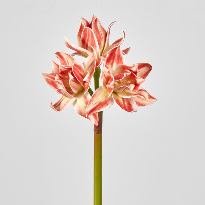 Artificial Clivia Amaryllis Bush with 3 Blooms, 22" Tall Realistic Faux Flowers for Wedding Centerpieces, Home Decor & Commercial Displays