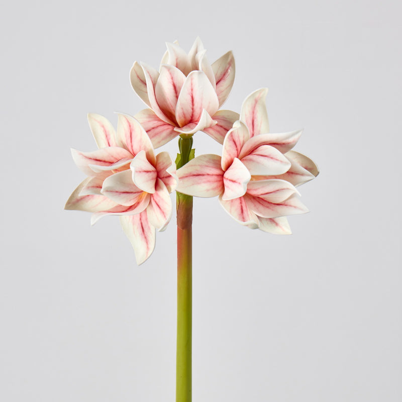 Artificial Clivia Amaryllis Bush with 3 Blooms, 22" Tall Realistic Faux Flowers for Wedding Centerpieces, Home Decor & Commercial Displays
