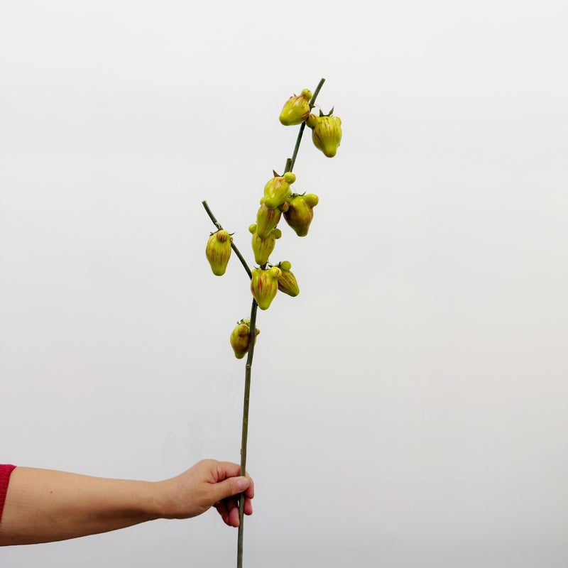 Artificial Golden Fruit Bush with 10 Fruits, Faux Fruit Branch Pick, Plastic & Foam, for Vase Arrangements & Home Decor