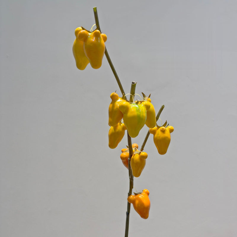 Artificial Golden Fruit Bush with 10 Fruits, Faux Fruit Branch Pick, Plastic & Foam, for Vase Arrangements & Home Decor