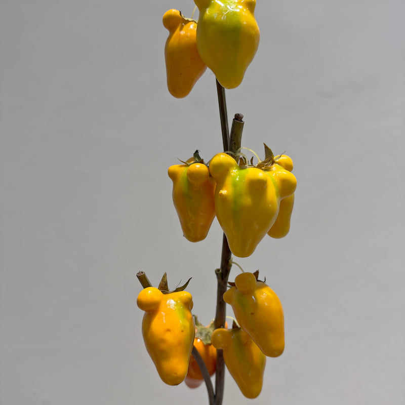 Artificial Golden Fruit Bush with 10 Fruits, Faux Fruit Branch Pick, Plastic & Foam, for Vase Arrangements & Home Decor