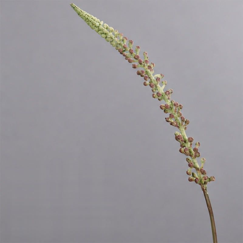 Artificial Foxtail Grass Single Stem, Faux Horsetail Greenery Plastic Stem, Wedding, Vase & Home Decor
