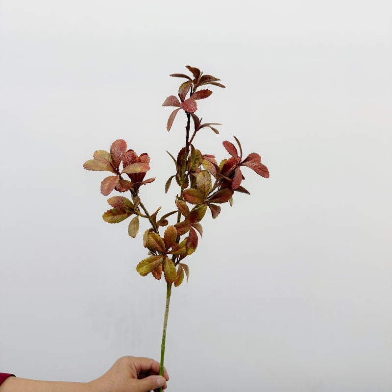Artificial Eucalyptus-Style Leaf Bush, Autumn Tone Faux Greenery Pick, Plastic Filler Foliage for Wedding, Vase and Home Decor