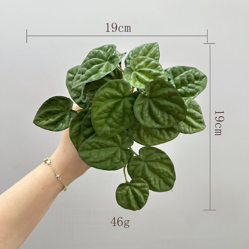 Artificial Wrinkled Peperomia Leaf Bush, Faux Greenery Plant Stem for Vases, Wedding Decor, Home & Office, Indoor/Outdoor