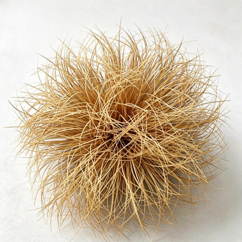 Artificial Foxtail & Onion Grass Clump with Base, Single Dried-Look Faux Grass Plant for Home, Storefront Display