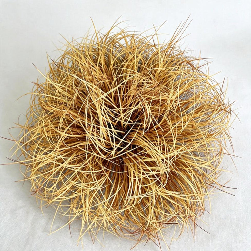 Artificial Foxtail & Onion Grass Clump with Base, Single Dried-Look Faux Grass Plant for Home, Storefront Display