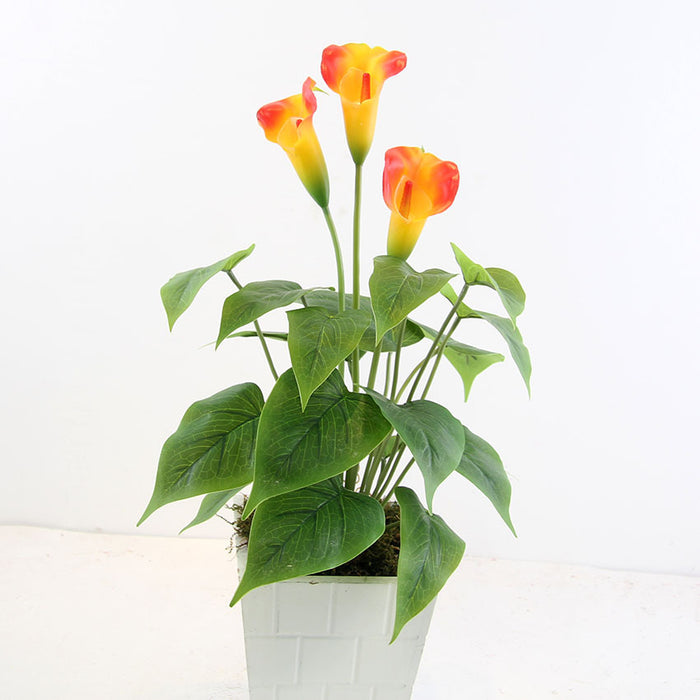 Bulk 2pcs 17 inches Tall Calla Lily Bush Plants for Indoor Outdoor Decoration Wholesale