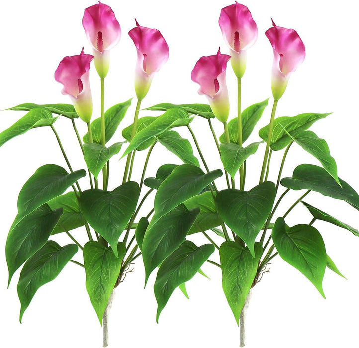 Bulk 2pcs 17 inches Tall Calla Lily Bush Plants for Indoor Outdoor Decoration Wholesale