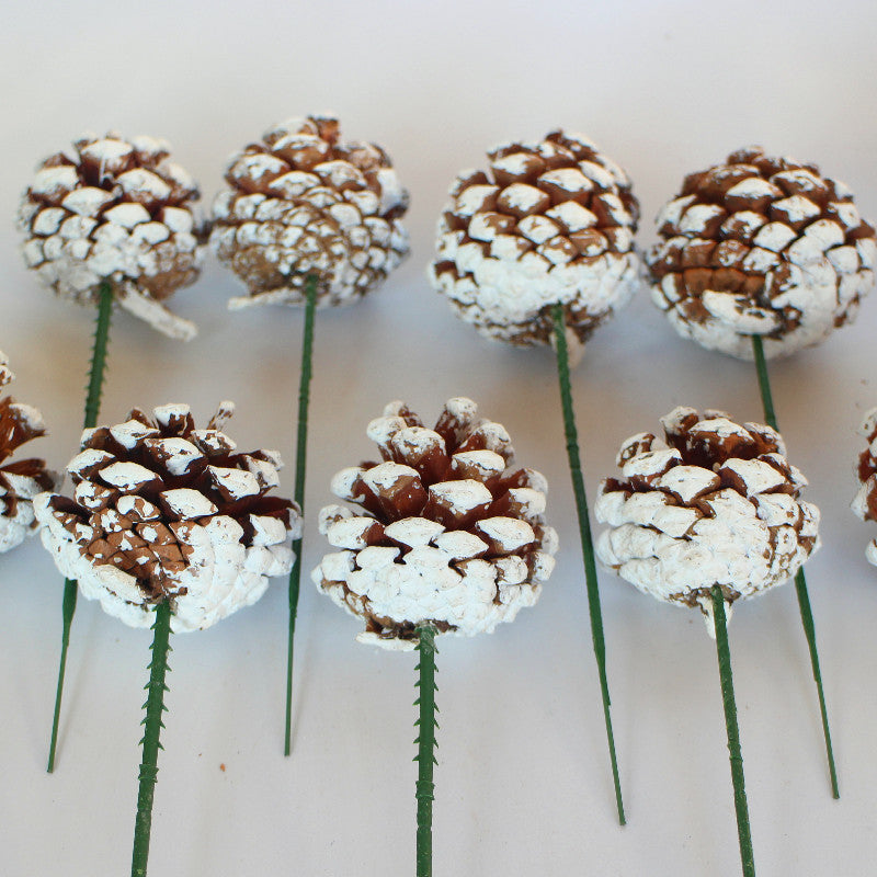 Bulk 20Pcs 2 Inch Christmas Natural Pine Cones Picks Snow Tipped Wholesale